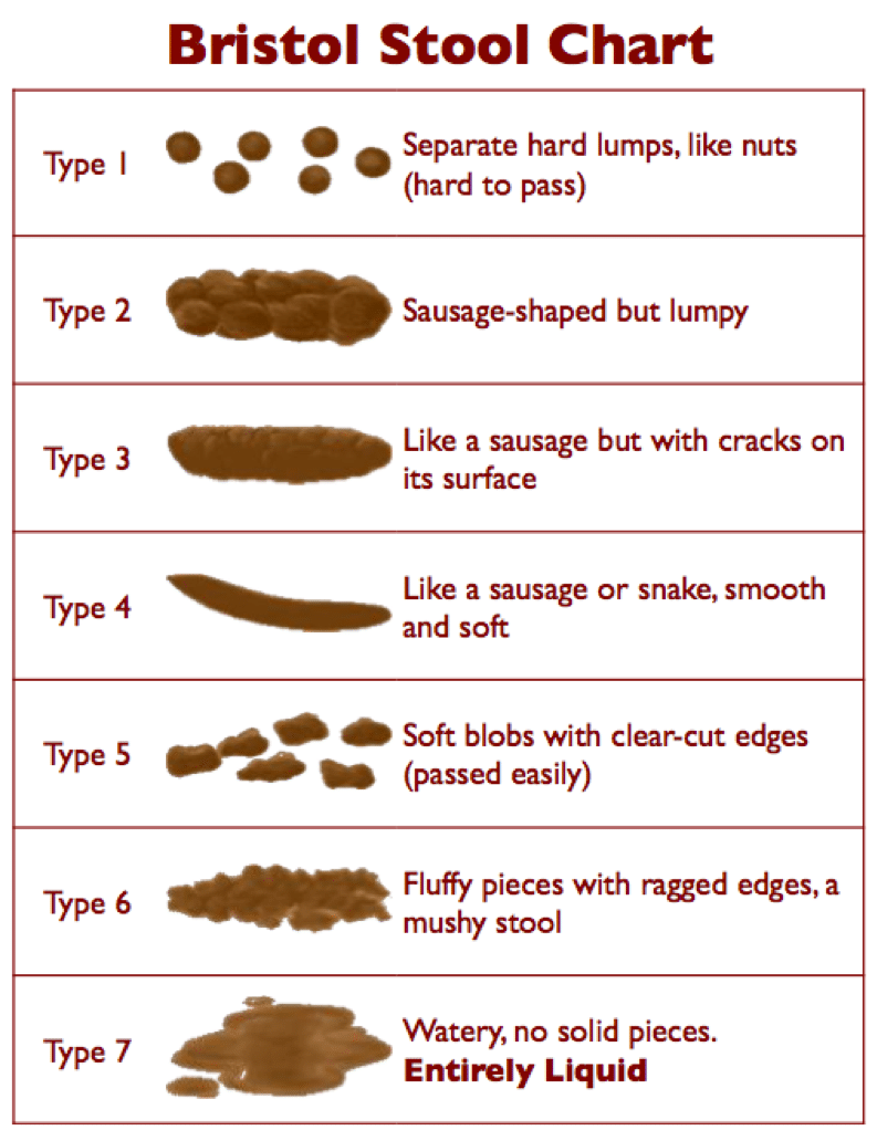 Bowel Movements Good Indicator of Your Digestive Health