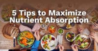 How To Boost Your Nutrient Absorption Russell Havranek Md