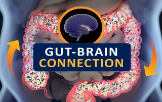 gut brain connection showing digestive system and arrow pointing to human brain