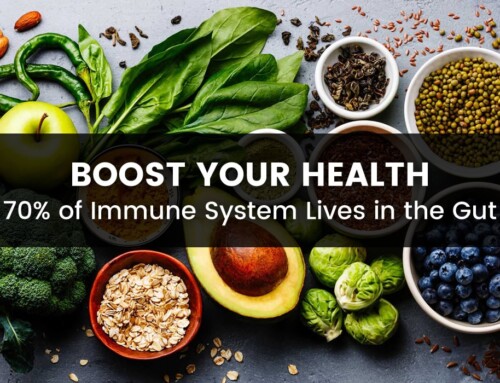 How to Strengthen Your Immune System in the Gut
