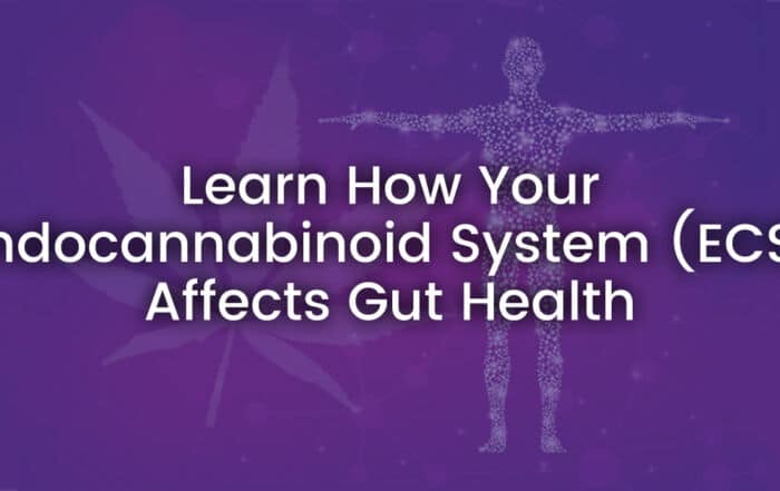 Endocannabinoid System (ECS) learn how it affects gut health