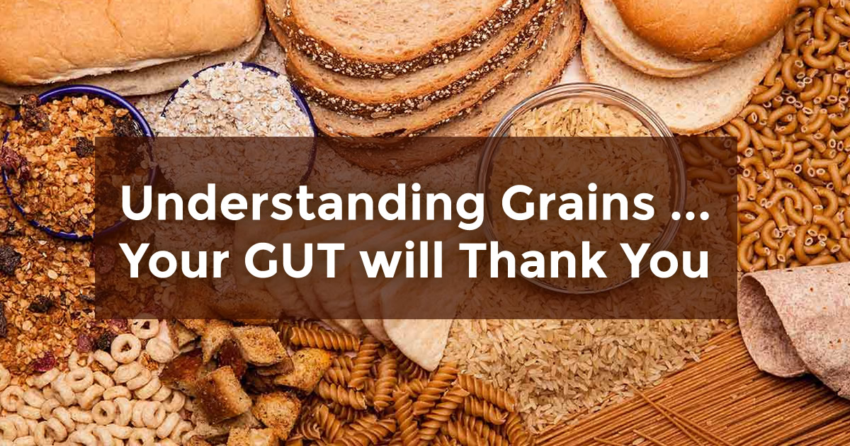understanding grains... your gut will thank you