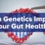 can genetics impact your digestive health?